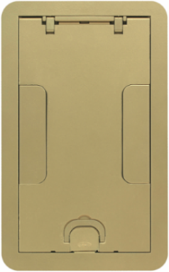 Rectangular Surface Cover Assembly, 2-Gang, 11.69 Inch x 14.70 Inch, Brass Powder Coat