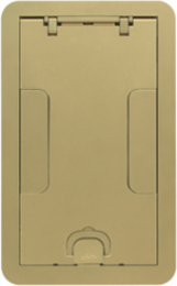 Rectangular Surface Cover Assembly, 2-Gang, 11.69 Inch x 14.70 Inch, Brass Powder Coat