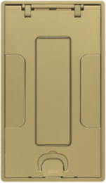 Brass Powder Coat Recessed Floor Cover, 2-Gang, Cast Aluminum