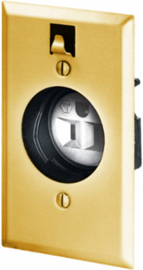 Clock Hanger Receptacle 15A 125V 2-Pole 3-Wire Grounding Brass 4.63 Inch x 2.88 Inch