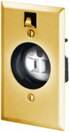 Clock Hanger Receptacle 15A 125V 2-Pole 3-Wire Grounding Brass 4.63 Inch x 2.88 Inch
