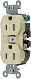 Duplex Receptacle 15A 125V 2-Pole 3-Wire Grounding Ivory