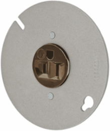 Specialty Receptacle 2-Pole 3-Wire Grounding 15A 125V 5-15R Brown Mounted to 4 Inch Cover