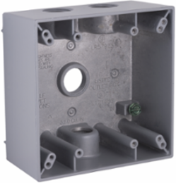 2-Gang Weatherproof Electrical Box with Four 1/2 Inch Threaded Outlets, Gray