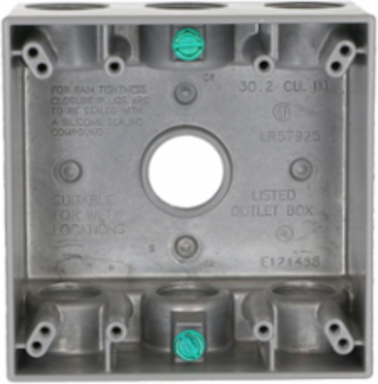 2-Gang Weatherproof Box with Seven 3/4 Inch Threaded Outlets, Gray, Aluminum