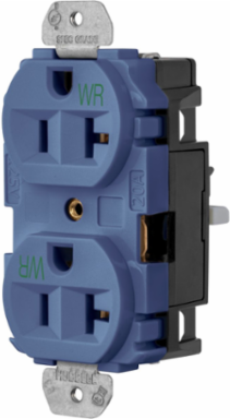 EdgeConnect™ Blue 20A Straight Blade Duplex Receptacle, 2-Pole, 125V, Screwless Termination