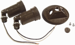 Weatherproof Combination Cover 4 Inch for PAR 38 Lamps, Bronze, Includes 2 Lampholders