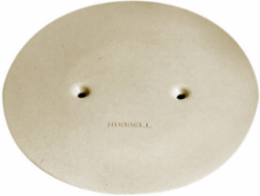 Abandonment Plate 3 Inch Ivory, Flush Design, Fire-Rated