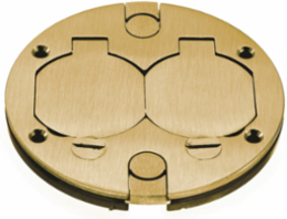 Brass Replacement Cover 5.500 Inch, 3 Inch Core Hole, Duplex Opening