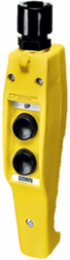 Two Button Compact Pushbutton Station, NEMA 4X, 240VAC, Pilot Duty