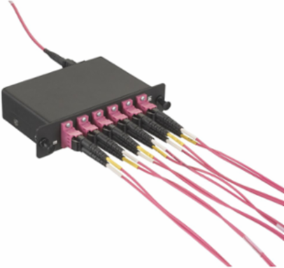 Fiber Optic Patch Cord, 1 Meter, OM4, Duplex, Plenum Rated, Violet