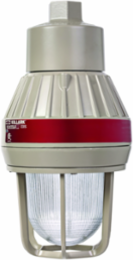 Emergency LED Pendant Light 10W 120-277VAC 3/4 Inch with Guard