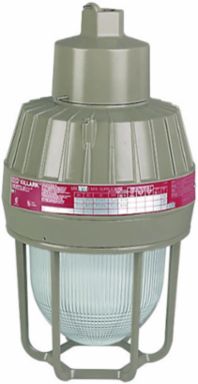 Incandescent Pendant Light Fixture 3/4 Inch Medium Base 200W