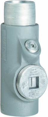 2 Inch EYS Seal Fitting Iron with Nipple, Duraloy Iron, Powder Epoxy Finish