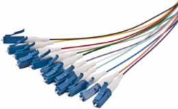 Fiber Pigtail Bundle, 12-Fiber, LC-Single Mode, 3 Meter Length