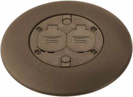 Flush Duplex Brass Service Fitting, 3 Inch, 20A Duplex, Low Voltage Ports