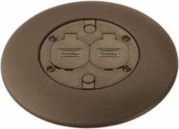 Flush Duplex Brass Service Fitting, 3 Inch, 20A Duplex, Low Voltage Ports