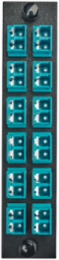 Fiber Optic Panel Adapter, 24-Fiber, 12 LC Duplex, Aqua