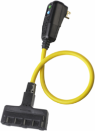 Manual Set, 15A, 120V AC, 2' - 12/3 SJEOW