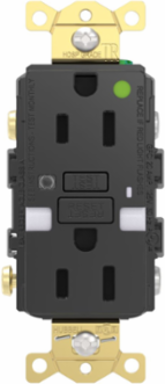 Fed Spec, Hospital Grade, 5-15R AUTOGUARD® Self-Testing, Self-Grounding GFCI