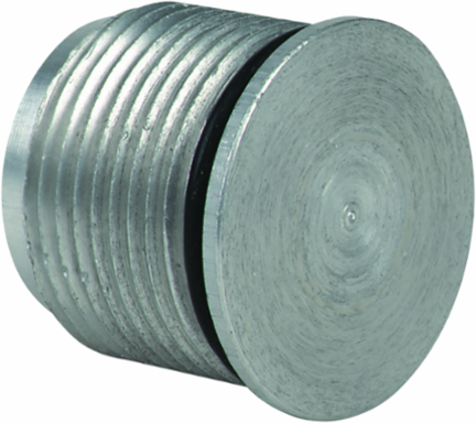G Series Hole Plug 3/4 Inch NPSM for Hazardous Locations