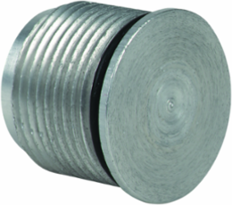 G Series Hole Plug 3/4 Inch NPSM for Hazardous Locations