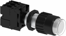 Clear Illuminated Push Button, 24V AC/DC, 1 N.O./1 N.C., 25mm, 3/4 Inch NPSM