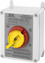 Rotary Disconnect Switch, 30A 600V AC, Three Pole, NEMA 4X, 5.900 Inch Width