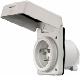 Locking Device, Twist-Lock® Marine Grade, 30A 125V, 2-Pole, 3-Wire Grounding