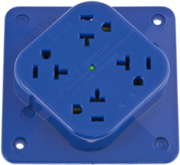 4-PLEX Surge Suppression Receptacle 20A 125V, 2-Pole, 3-Wire, LED Indicator