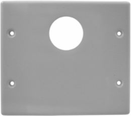 Metal Raceway Plate, Double, 1 Round/Blank, 2-Gang, Gray
