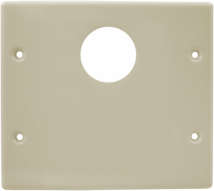 Metal Raceway Plate, Double, 2-Gang, 4.9 Inch Width, Ivory