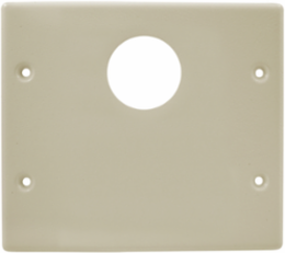 Metal Raceway Plate, Double, 2-Gang, 4.9 Inch Width, Ivory