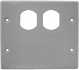 Metal Raceway Plate, Double, 2-Gang, Gray, Scratch Resistant Finish