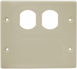 Metal Raceway Plate, 2-Gang, Dimensions 5.600x6.100x4.300 Inch, Ivory
