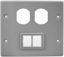 Metal Raceway Device Plate, 2-Gang, Duplex, Gray, 4.9 Inch Width