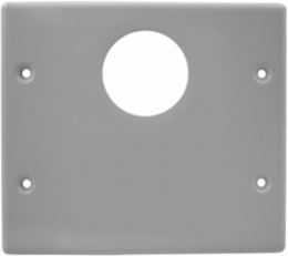 Metal Raceway Plate, Double 2-Gang, Round/Blank, Gray