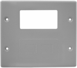 Metal Raceway Plate, Double, 2-Gang, 4.9 Inch Width, Gray
