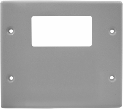 Metal Raceway Plate 2-Gang 4.9 Inch Gray Style Line