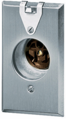 Clock Hanger Receptacle, 15A 125V, 2-Pole 3-Wire Grounding, 4.5 x 2.75 Inch