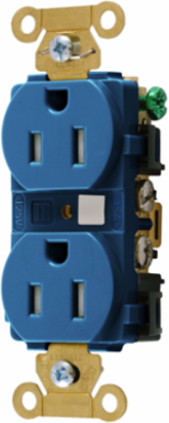 Tamper Resistant Duplex Receptacle 15A 125V 2-Pole 3-Wire Grounding Blue