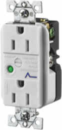 Duplex Receptacle with Light & Alarm, 15A 125V, 5-15R, Gray