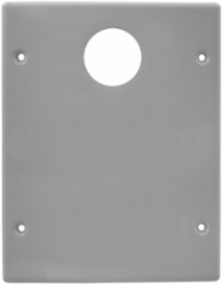 Metal Raceway Device Cover Plate 2-Gang 5.600 Inch Gray