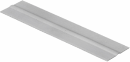 Metal Raceway Divider, 2 Inch Width, Steel, 50 ft Pack