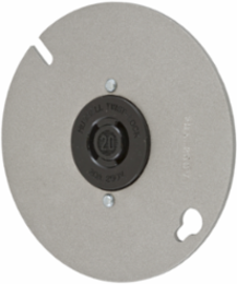 Twist-Lock Flush Receptacle, 20A 250V, 2-Pole, Mounted to 4 Inch Box Cover