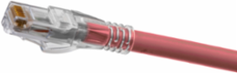 Ascent Cat6A Slim Patch Cord, 50 Inch, Pink, #24 AWG, 300V AC