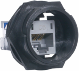 HI-IMPACT Connector Category 6 Universal Gray - IP67, RJ45 to 110 IDC, 4.380 Inch Width