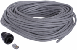 Cat6 Patch Cord, 100' Length, Black, Flame Retardant PVC