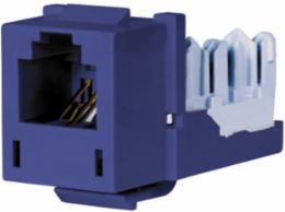 XCELERATOR 6-Position Telephone/Data Jack, 3.500 Inch, RJ-45 Jack, Blue
