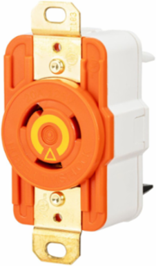 EdgeConnectTM Isolated Ground Flush Receptacle 20A 125V 2-Pole 3-Wire